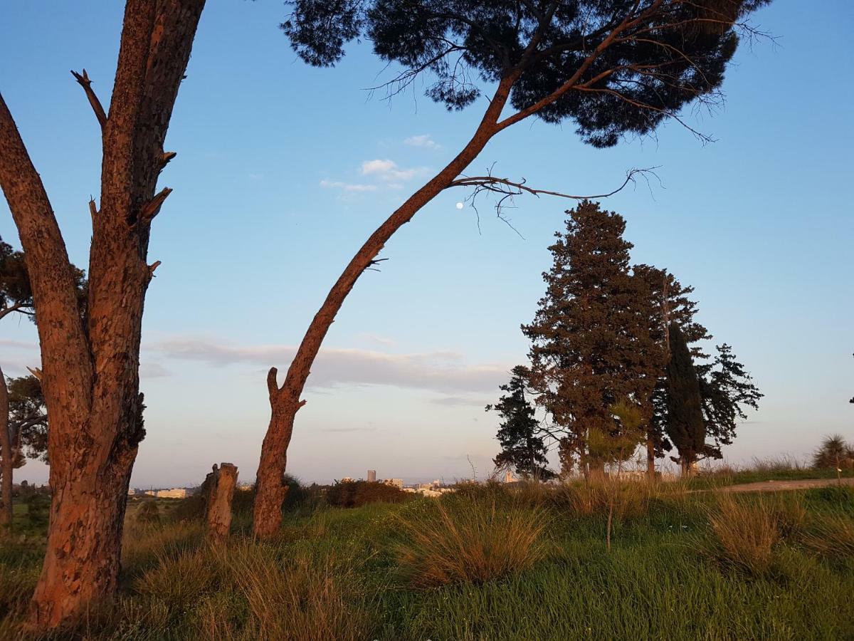 The Hbs Suite Ness Ziona Εξωτερικό φωτογραφία