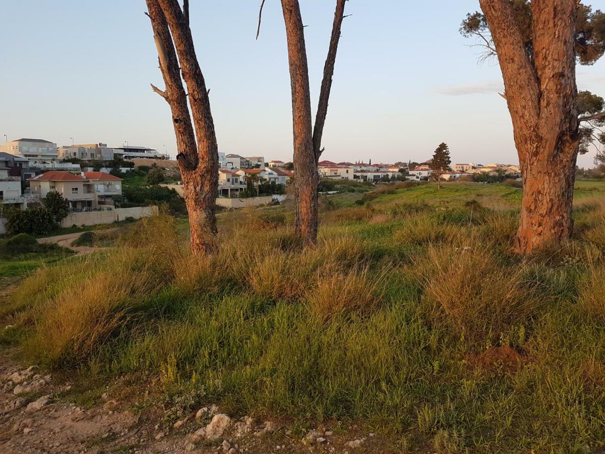 The Hbs Suite Ness Ziona Εξωτερικό φωτογραφία